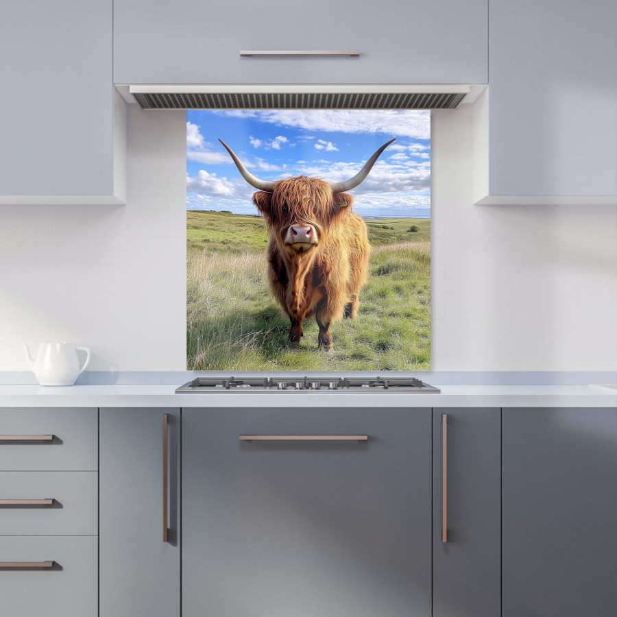 Click to view product details and reviews for Highland Cow In Summer Kitchen Splashback W700mm X H650mm.