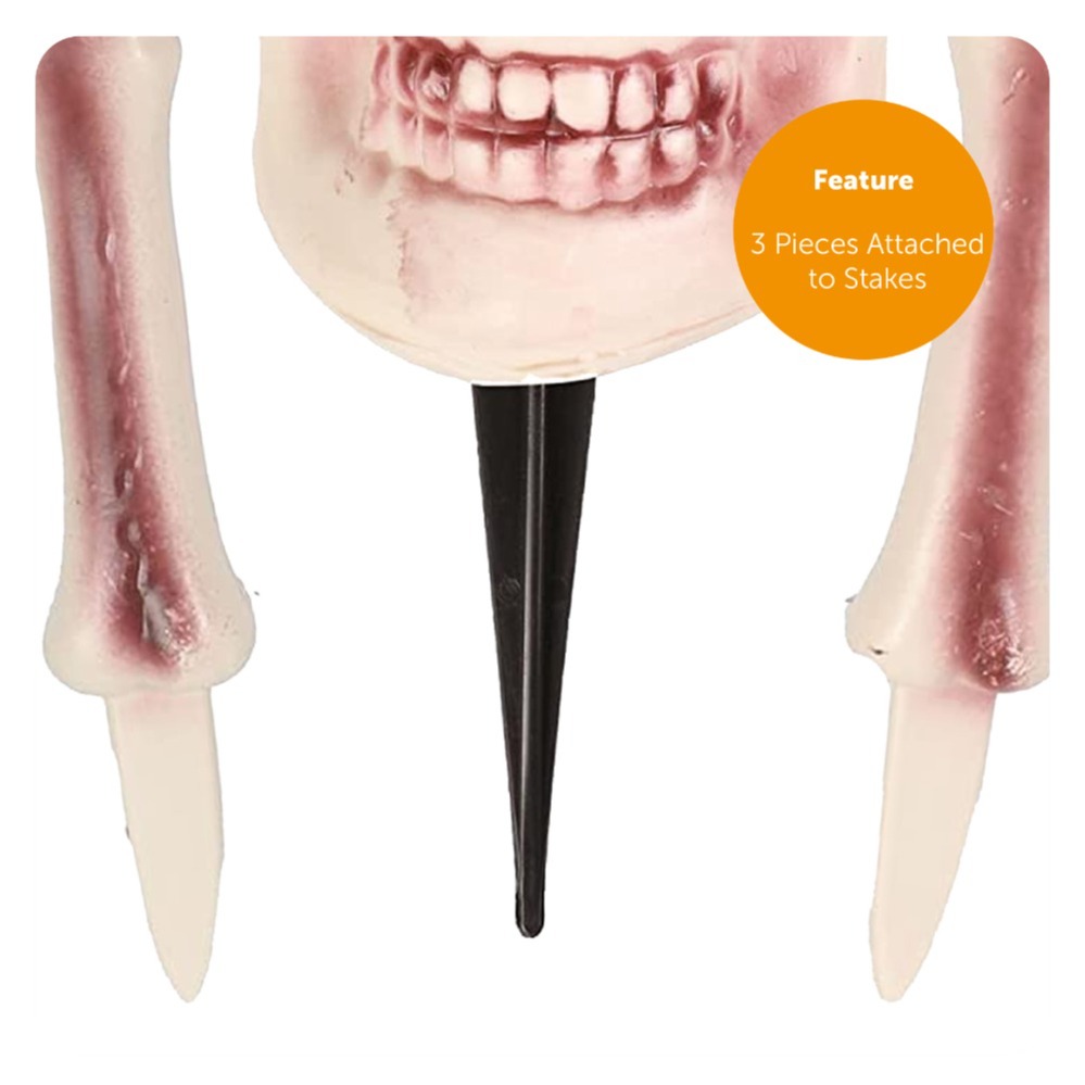 3 Piece Groundbreaking Skeleton Halloween Decoration