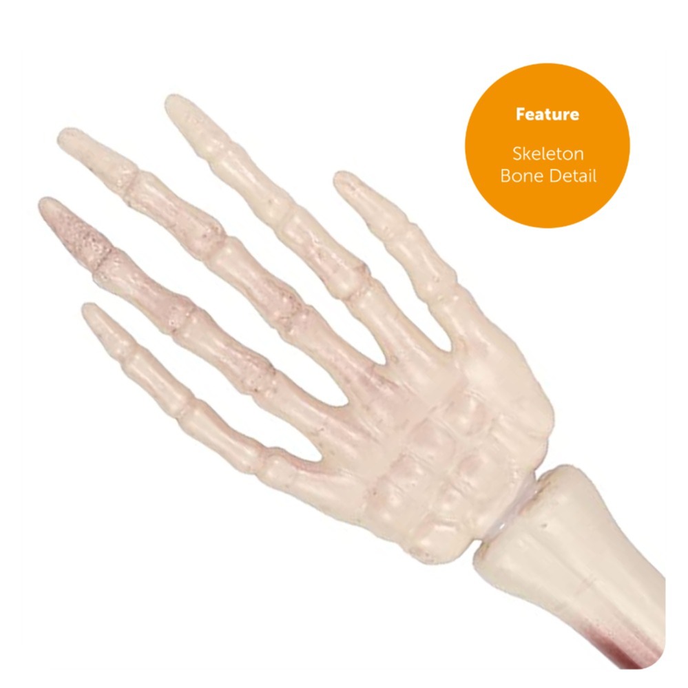 3 Piece Groundbreaking Skeleton Halloween Decoration