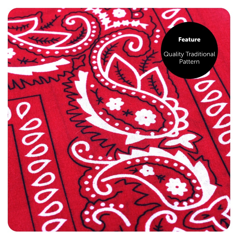 Brown Star Studded Cowboy Hat with Bandana & Tie