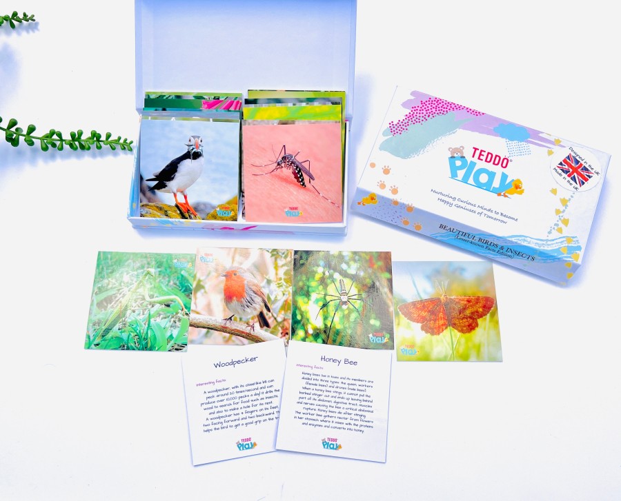Teddo Play - Beautiful Birds & Insects Learning Cards Set