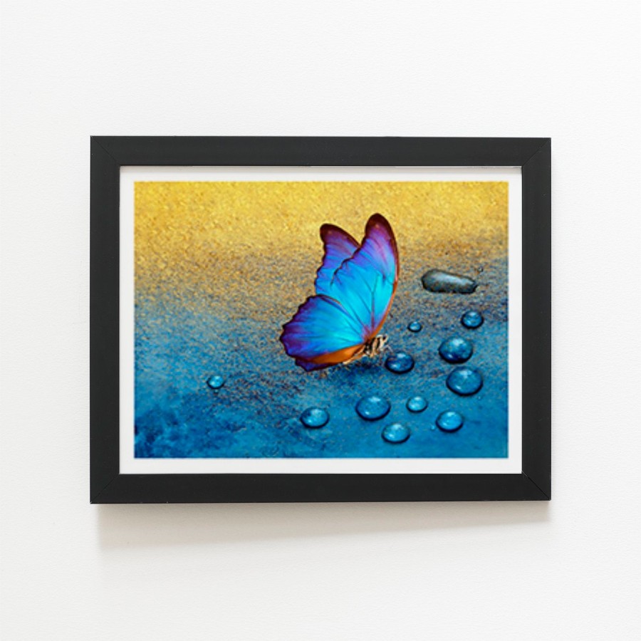 Click to view product details and reviews for Butterfly On Dew Drops Art Prints 8 X 10 Black Frame.