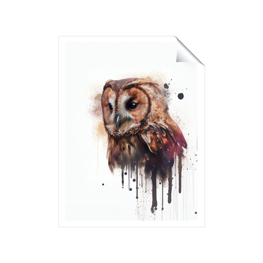 Tawny Owl Face Splashart Light Background Art Prints