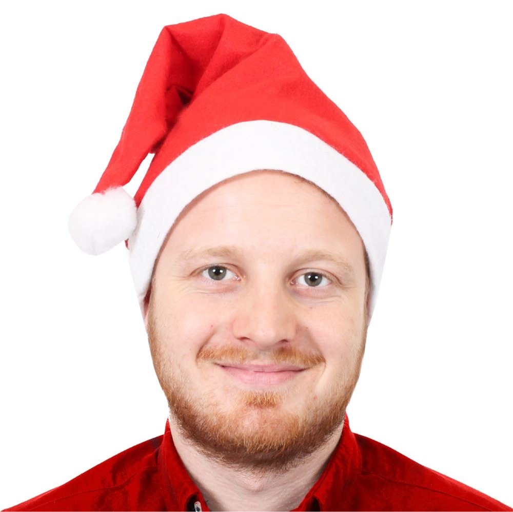 Pack of 20 Classic Felt Santa Hats