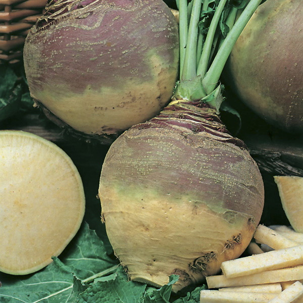 Crop