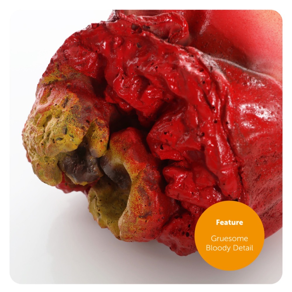 Adults Zombie Skinsuit Costume with Severed Arm