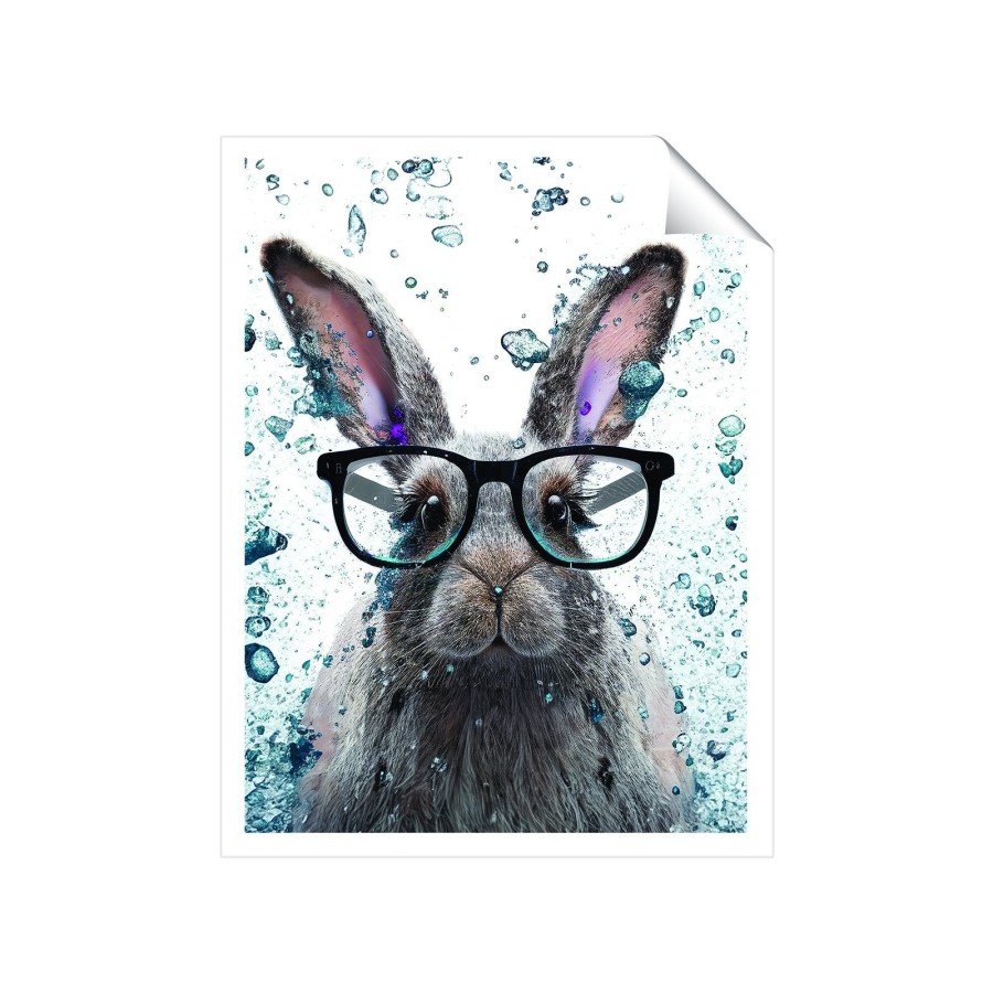Click to view product details and reviews for Rabbit Splashart Art Prints 8 X 10 No Frame. Click to view product details and reviews for Rabbit Splashart Art Prints 8 X 10 No Frame.