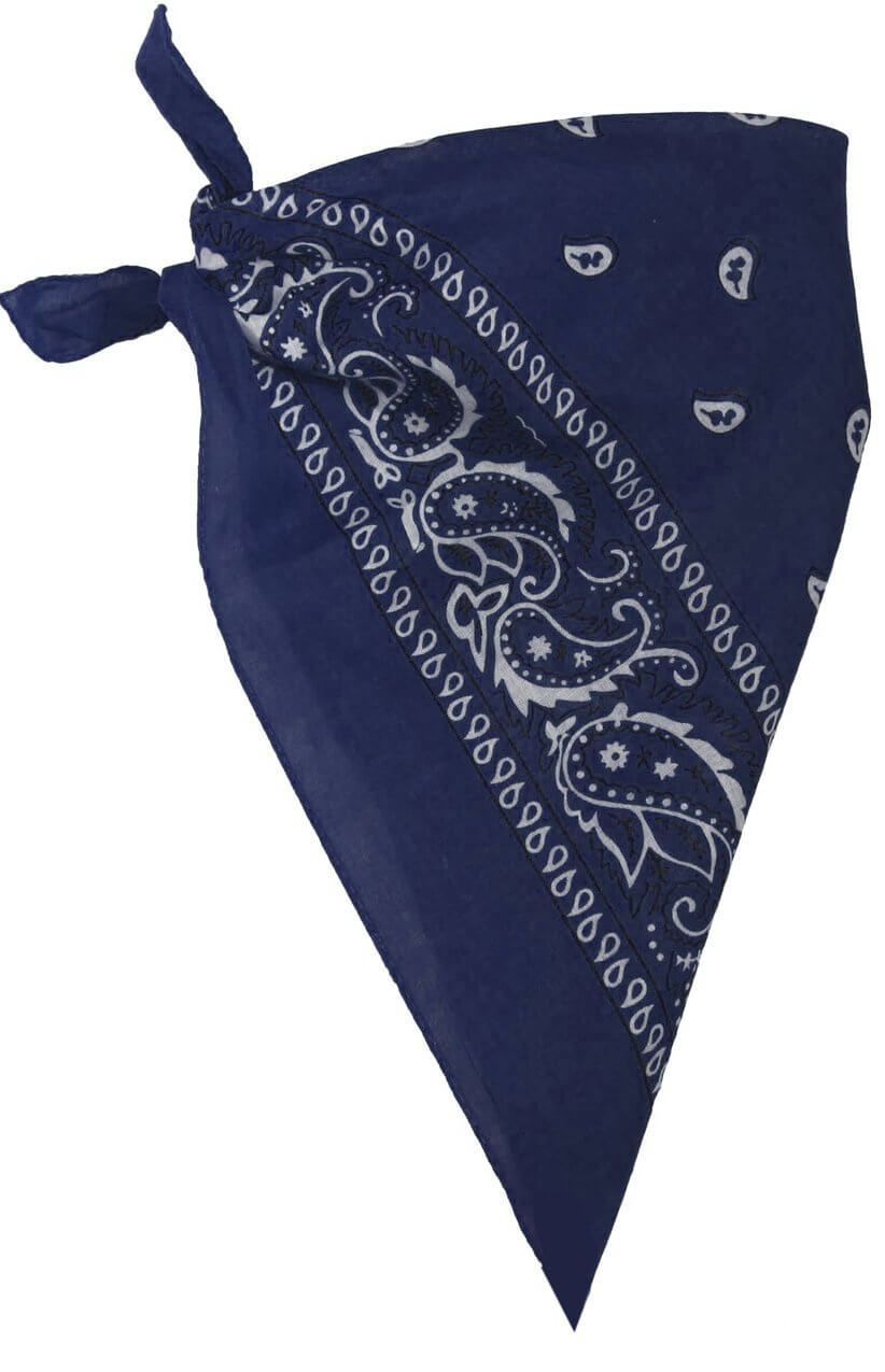 navy-blue-paisley-bandana-fancy-dress-bandanas-scarves.jpeg