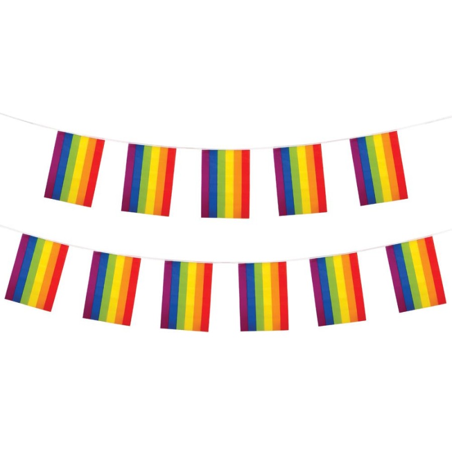 Click to view product details and reviews for Rainbow Gay Pride Bunting 11 Flags 31x20cm 4m.