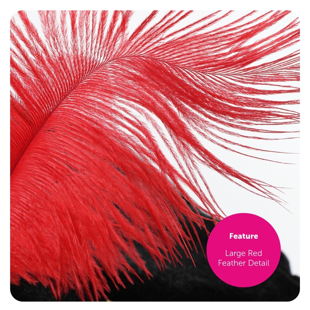 Adults Deluxe Cat Bandit Costume Set With Inflatable Sword