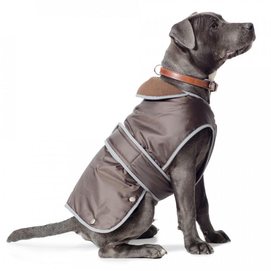 Click to view product details and reviews for Ancol Dog Puppy Coats Stormguard Chocolate 7 Sizes Large.
