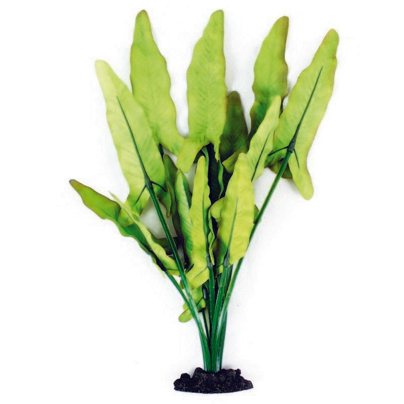 Click to view product details and reviews for Aqua One Silk Plants Green White Sword 3 Sizes Large.