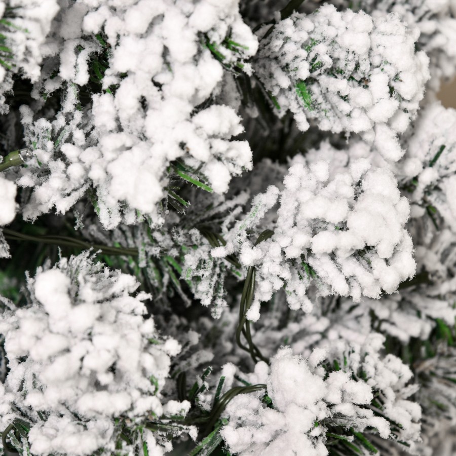 Image 8
