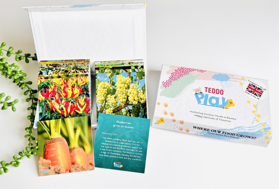 Teddo Play - Where Our Food Grows Learning Cards Set