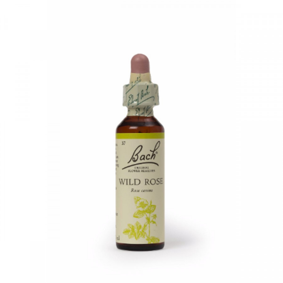 Bach  Wild Rose Remedy - 20ml - 90483