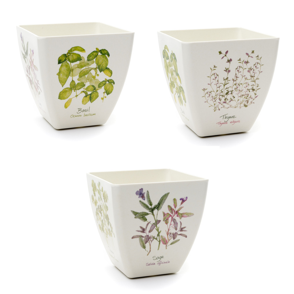 Bamboo Eco Plant Pot Compostable Biodegradable Herbs Design Jardinopia