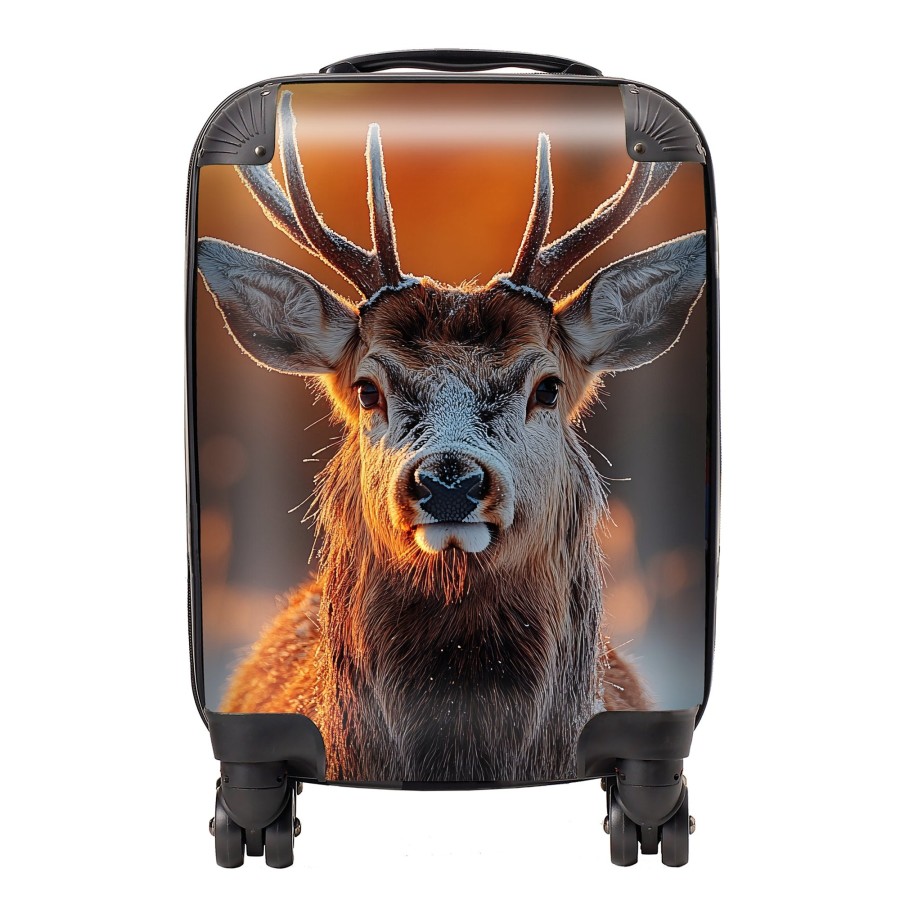 Click to view product details and reviews for Finn Wilder 00026 Suitcase Mini Cabin.