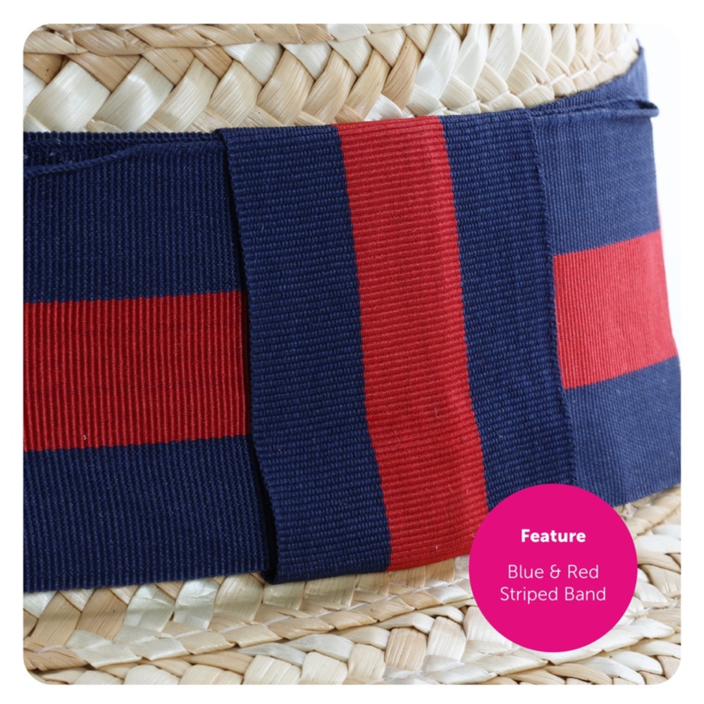 Elton John Set, Hat, Wig, Glasses & Boa - Detail 2