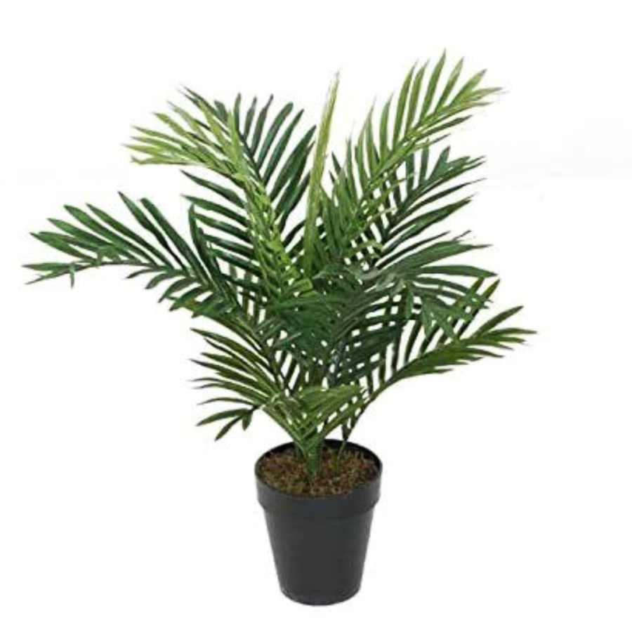 Best Artificial 2Ft - 60Cm Areca Palm Tree