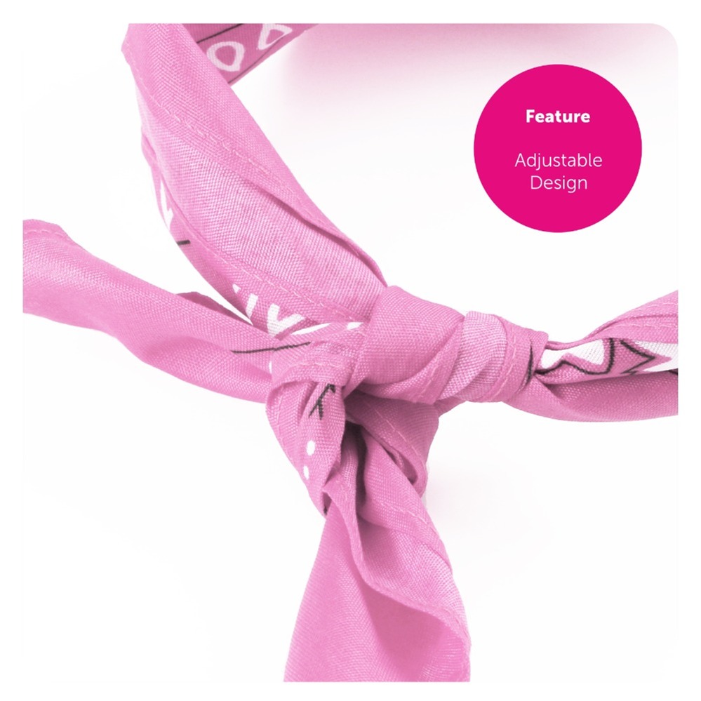 Pink Cowboy Hat with Diamantes & Bandana
