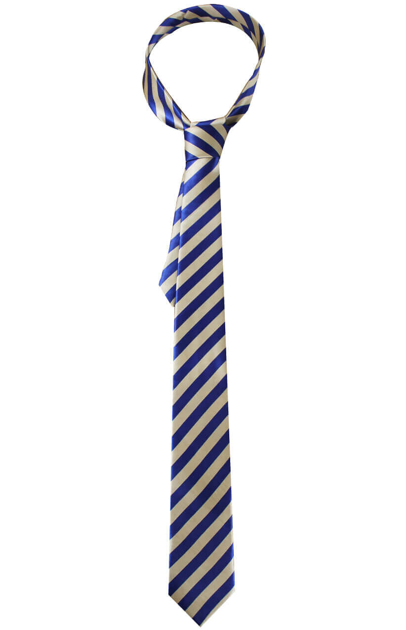 Blue & Beige Striped School Tie