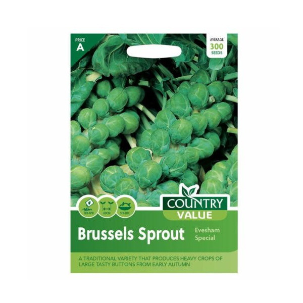 Click to view product details and reviews for Brussels Sprout Seeds Evesham Vegetable Packet.
