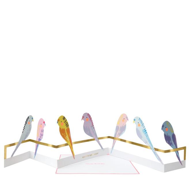 Click to view product details and reviews for Budgie Concertina Card.