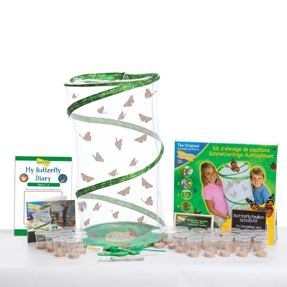 Butterfly Garden SCHOOL KIT (contains prepaid voucher for 33 Caterpillars)