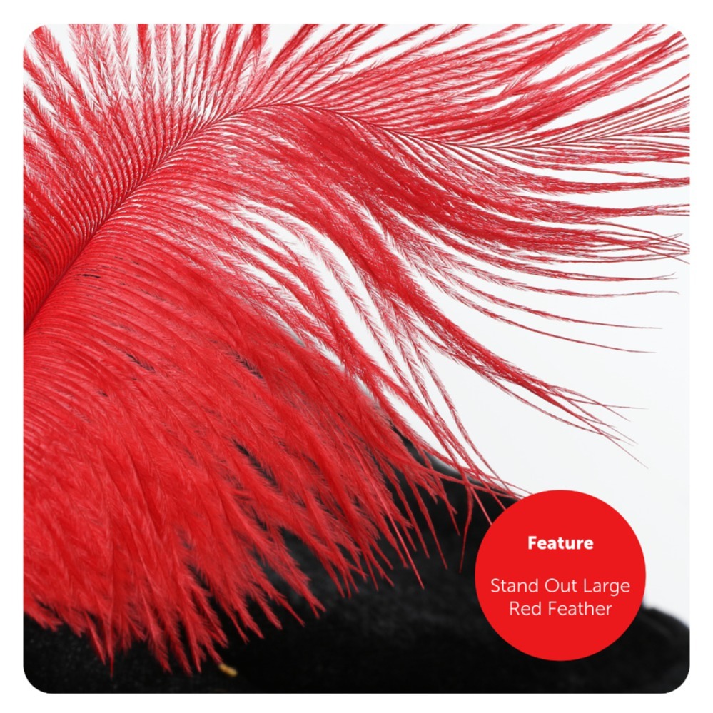 Childs Highway Rodent Accessory Set - Feather Tricorn Hat & Mask