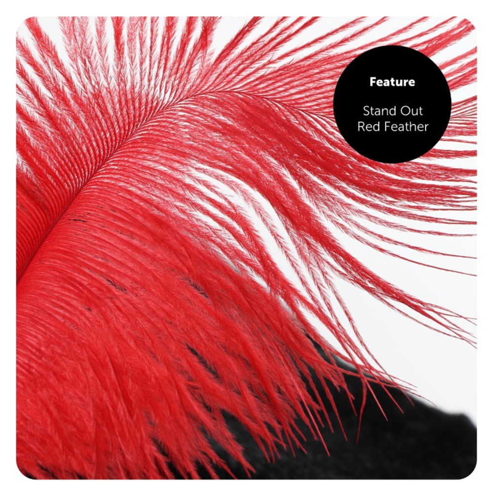 Childs Highway Rodent Accessory Set - Feather Tricorn Hat, Mask & Sword