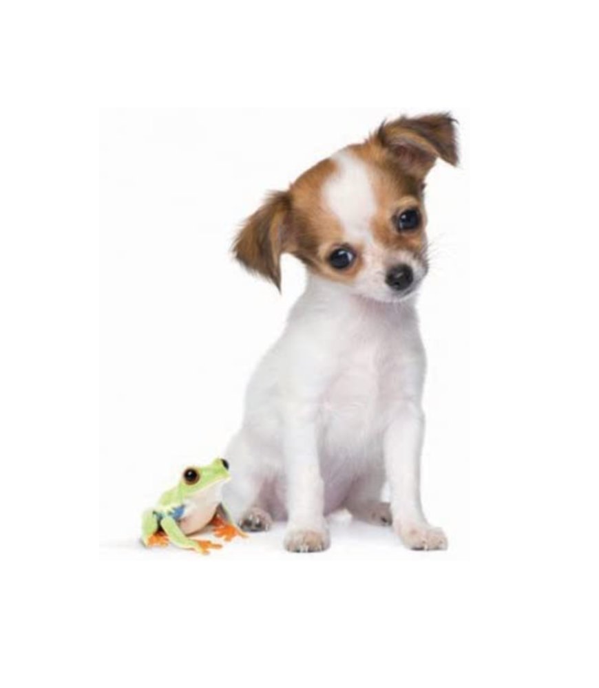 Click to view product details and reviews for Card Thank You Open 8 In Pack.