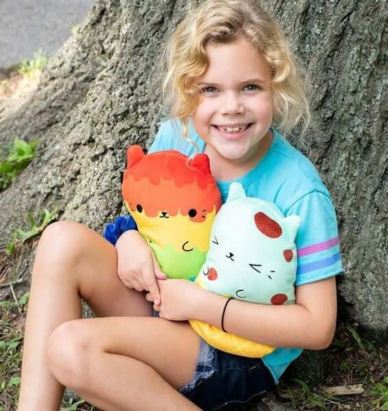 Cats vs Pickles jumbo plush bean bags