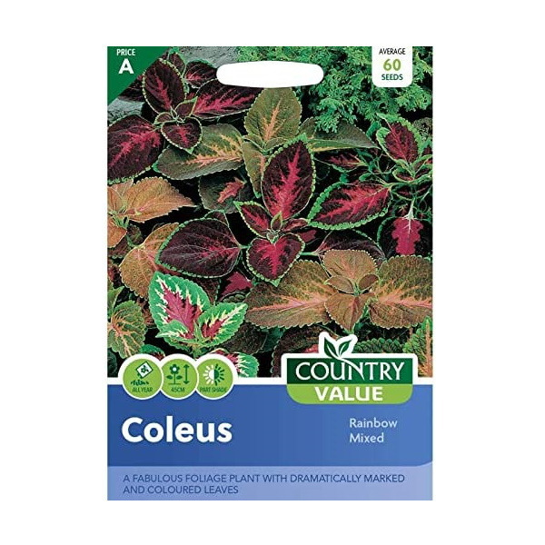 Coleus Seed Grow Your Own Garden Plant Rainbow Mixed Packet Country Value