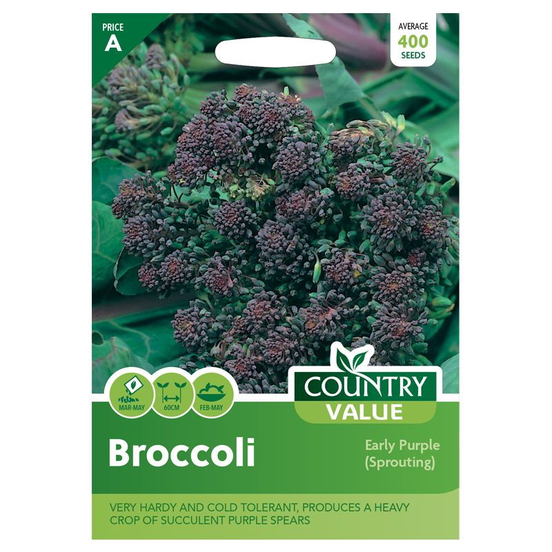 Country Value Broccoli Early Purple Sprouting Grow Your Own Vegetables Seeds
