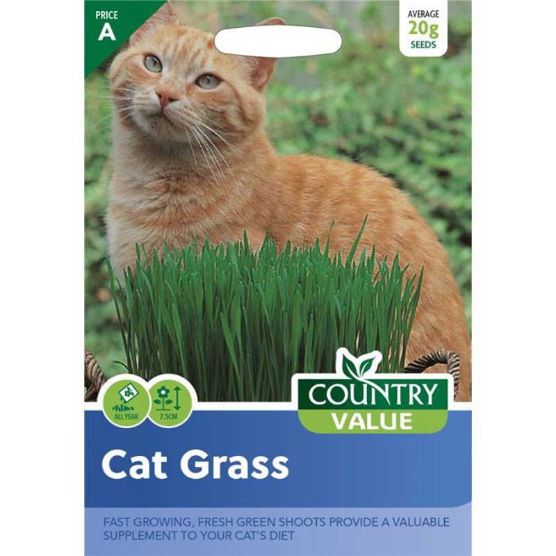 Country Value Cat Grass Avena Sativa Grow Your Own Garden Flowers Seeds Packet