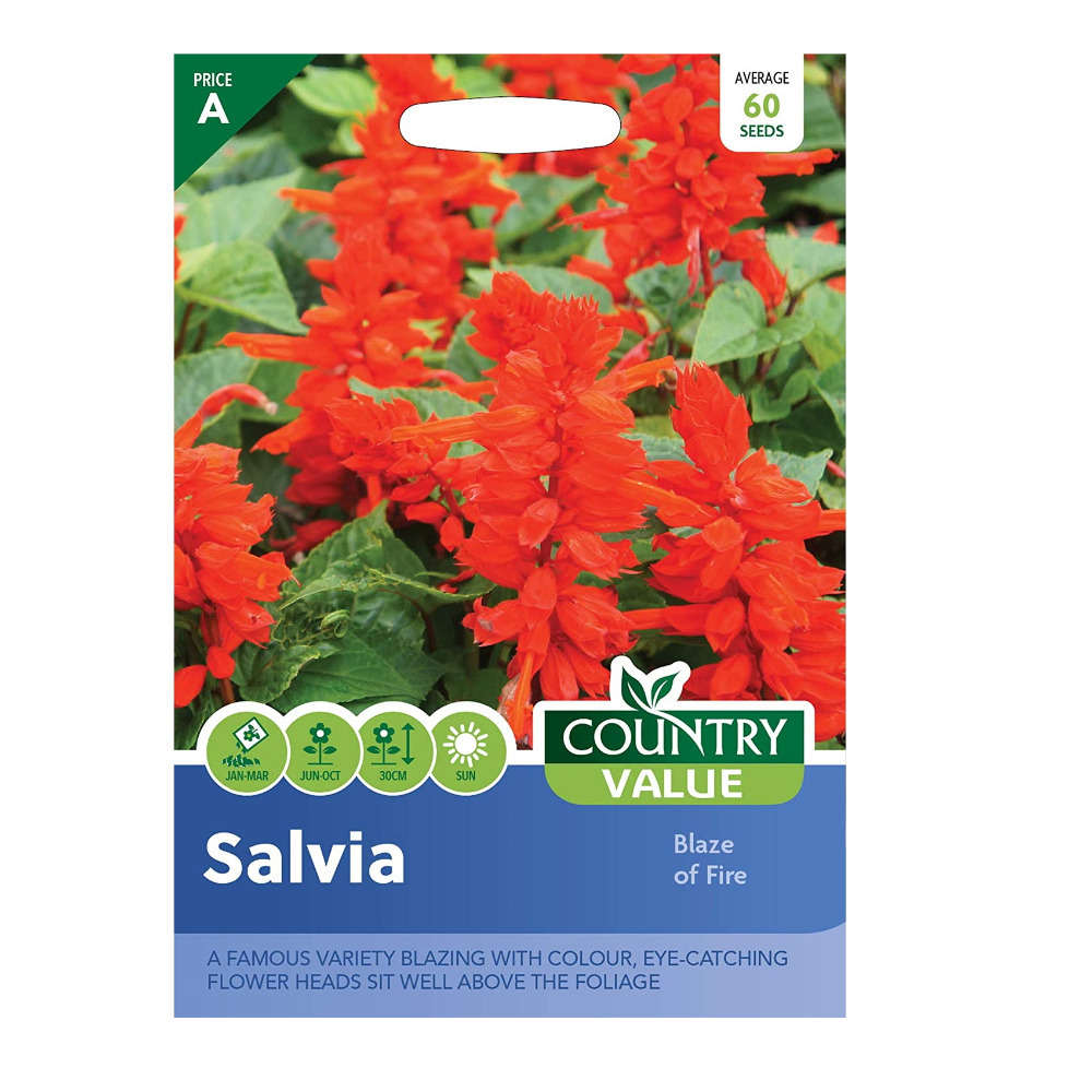 Country Value Salvia Blaze Of Fire Grow Your Own Garden Flower Seeds Packet