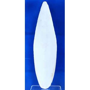 Cuttlefish Bone 6 - 10" 1kg - 15315
