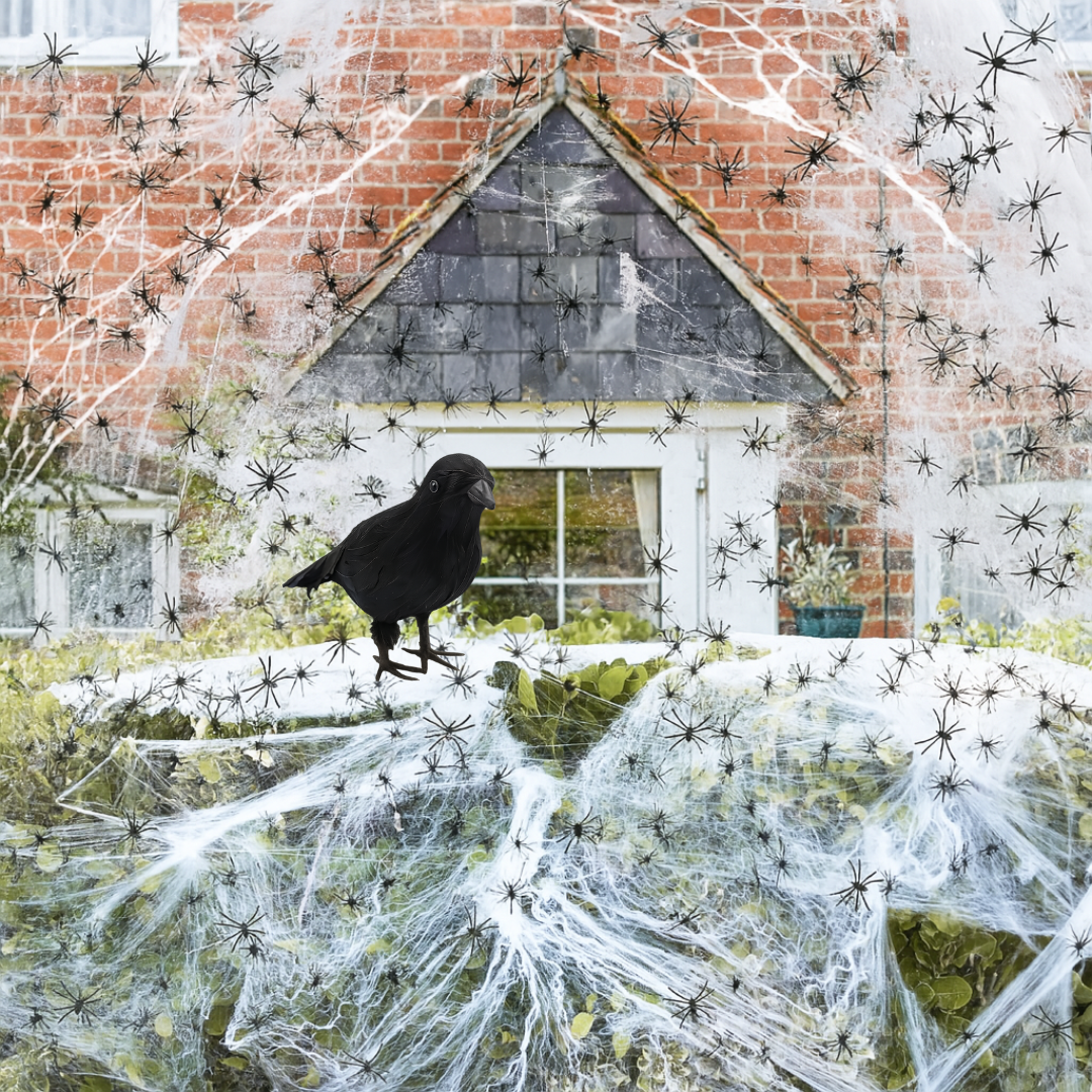 Click to view product details and reviews for Halloween Decoration Bundle Spiders Webs Crows Pack Of 1 Crow 200g Web.