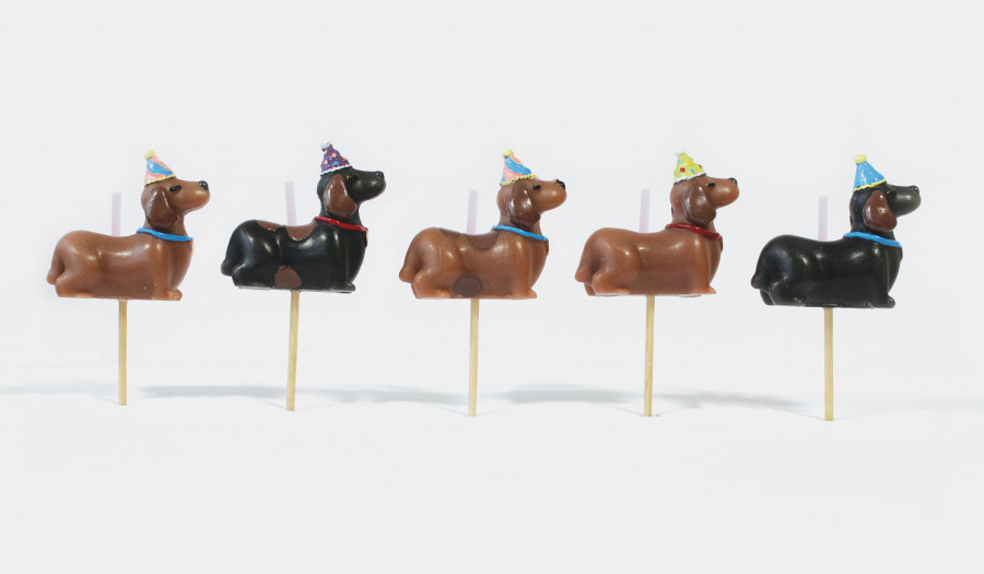 Click to view product details and reviews for Dachshund 3d Dog Candles Set Of 5.