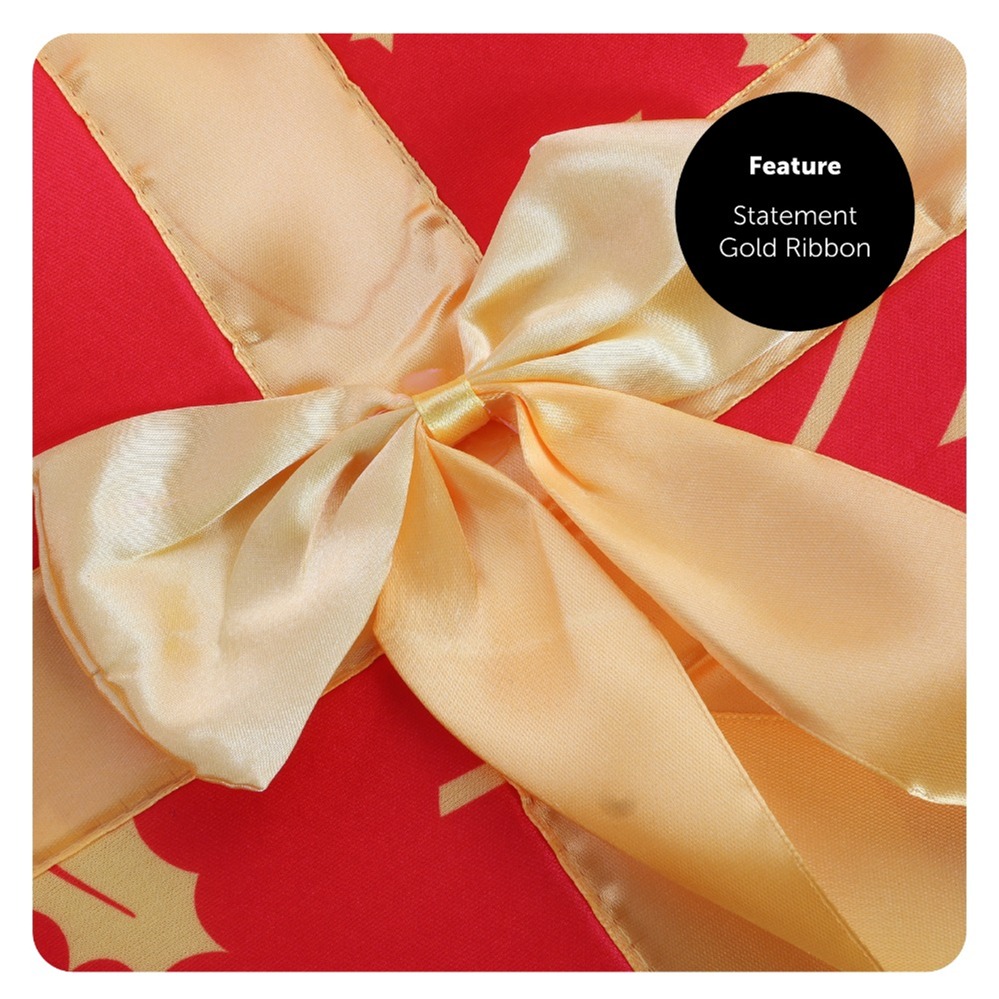 Christmas Present Costume with Hat