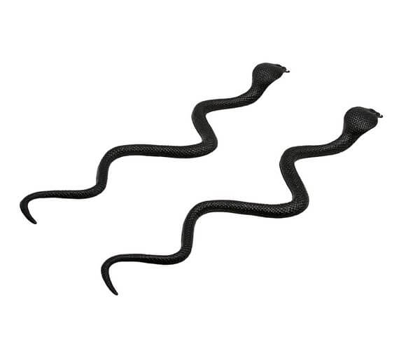 Click to view product details and reviews for Decorative Snakesssss 2 Of 35cm.
