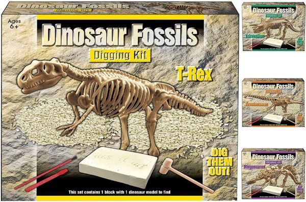 Dig Out Dinosaur Skeleton Fossil Archaeology Excavation Kit For Creative Kids
