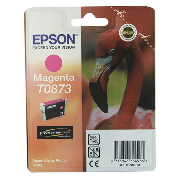 Epson Sty Pho R1900 T087 Ink Crt Mag - EP8734010