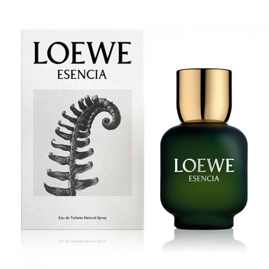 Loewe Esencia Pour Homme 100ml  Eau de Toilette Spray