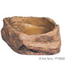 Click to view product details and reviews for Exo Terra Water Dish Med 538711.