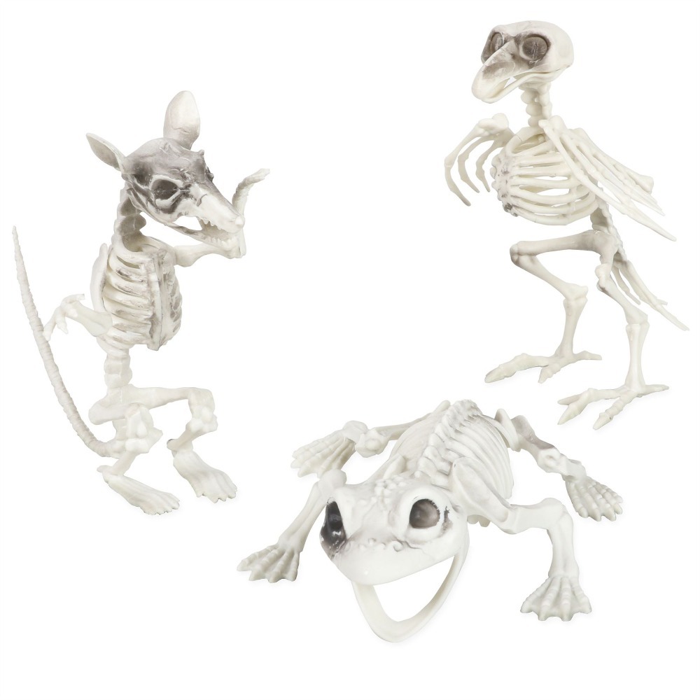 Plastic Animal Skeleton Pack | 3 Pcs | Crow, Frog & Rat