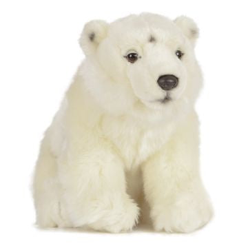 Polar Bear soft toy