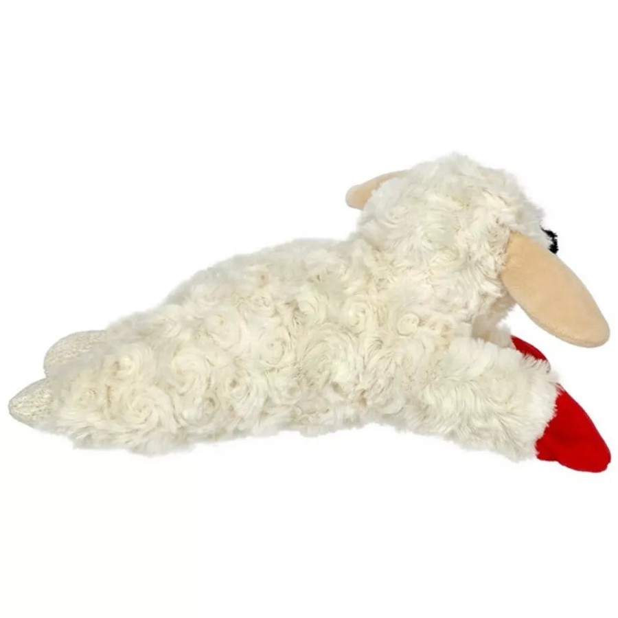 Image 7