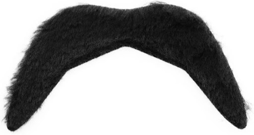 Borat Inspired Mankini Costume | 4 Pcs | Mankini, Wig, Glasses & Tash