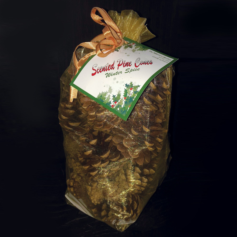 Fragranced Pine Cones Festive Winter Spice Scented Gold Bag By Milford